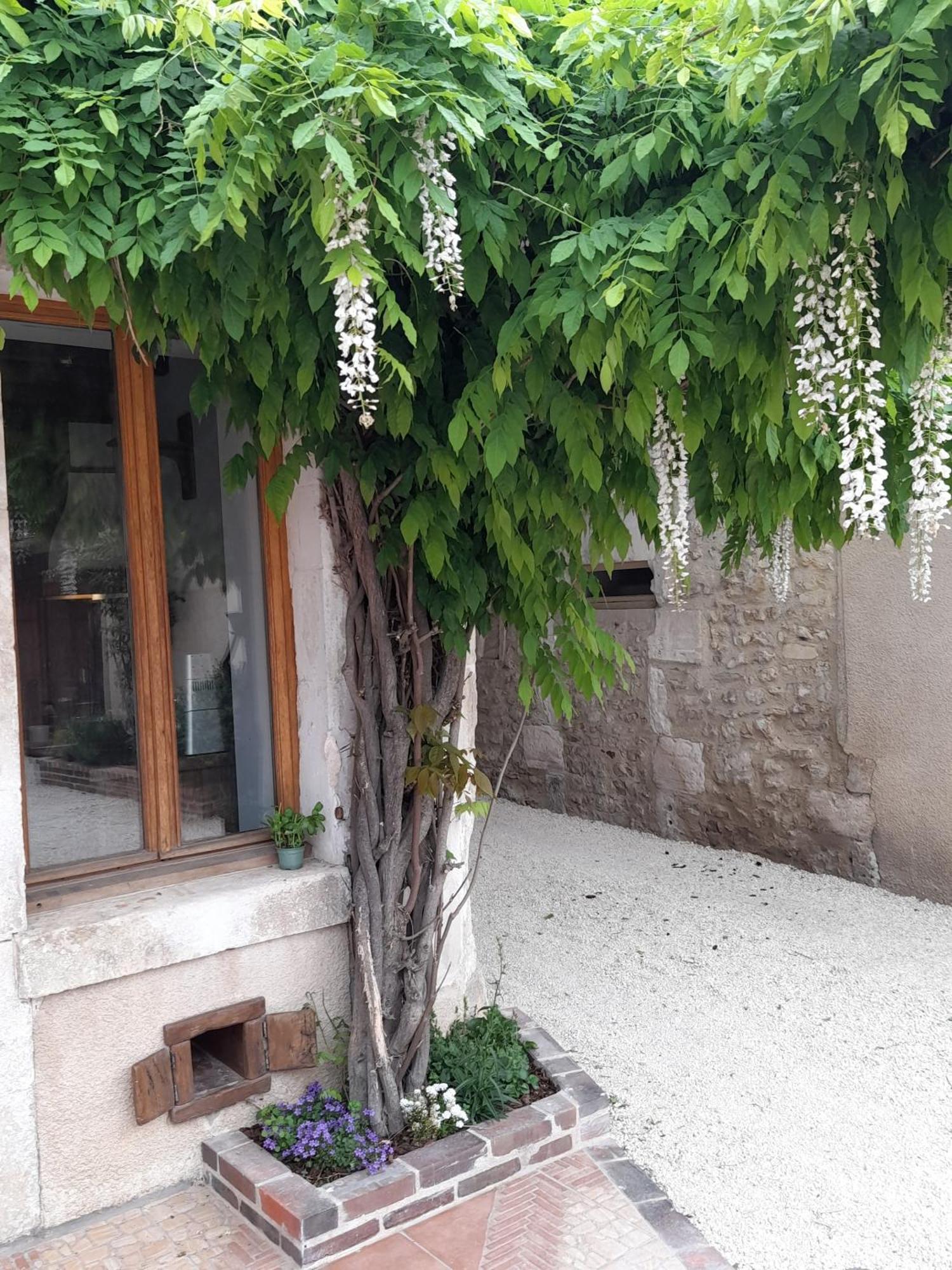 Aux Sources De Ouanne Bed & Breakfast Ngoại thất bức ảnh